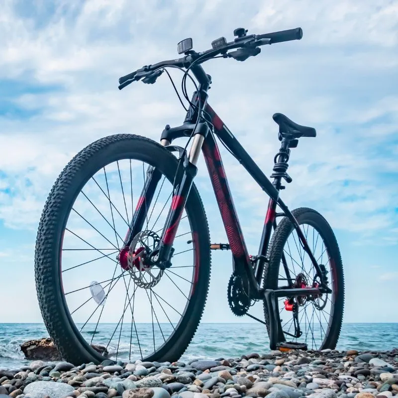 Best hardtail mountain bikes under 1000