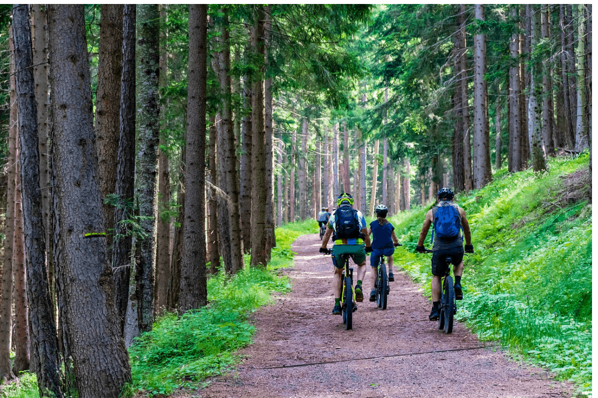 Hardtail vs. Full Suspension Mountain Bikes: Is Full Suspension Better than Hardtail?