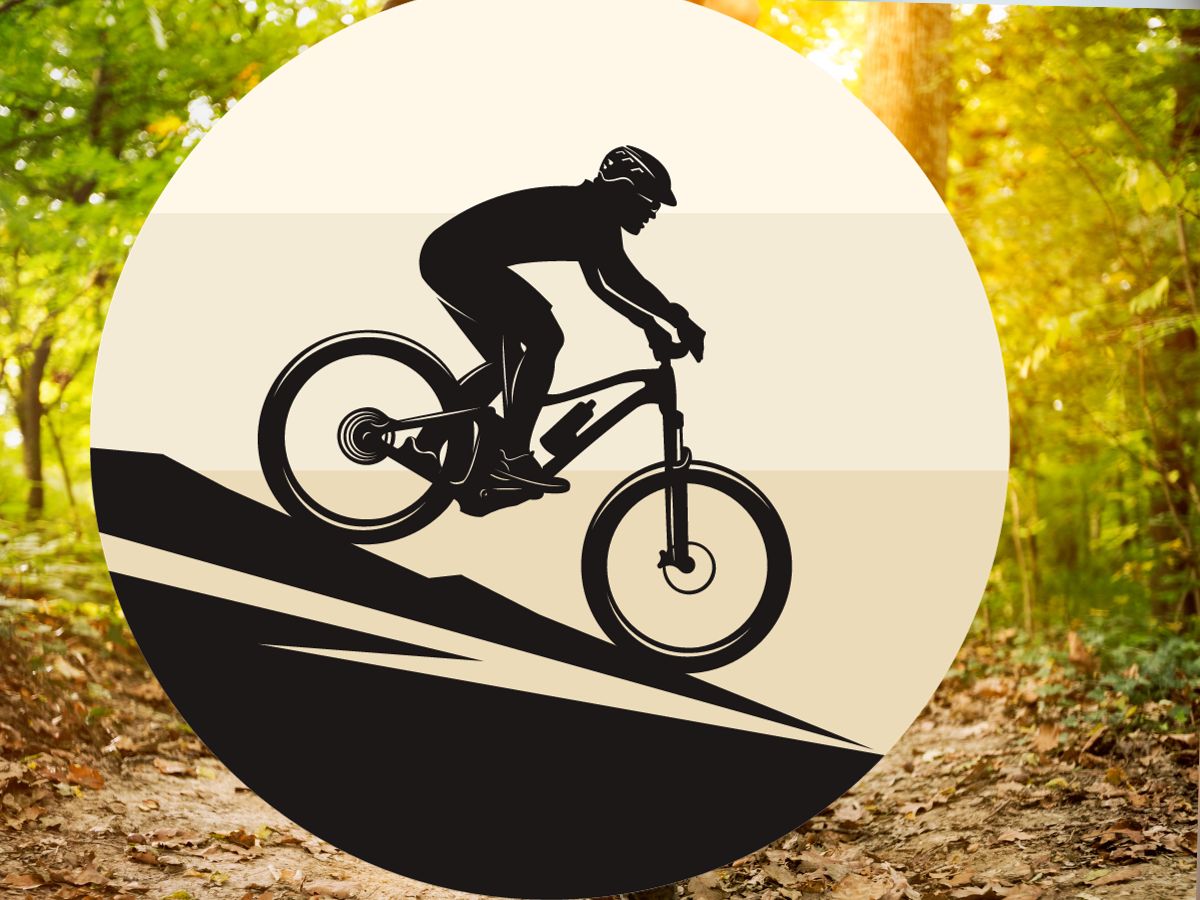 Mountain Biking for Beginners: Everything You Need to Know Before You Start